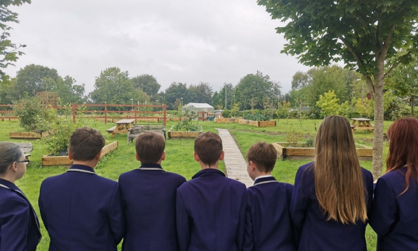 A group of students in uniform stand with their back to the camera, looking out on an allotment.